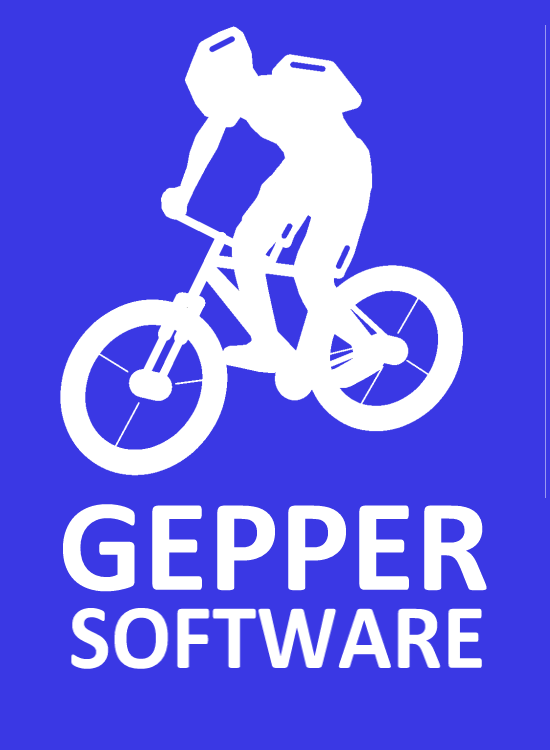 Anatolij Gepper Softwareentwicklung
