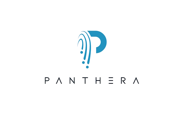 Panthera Software Solutions GmbH