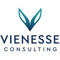 Vienesse Consulting GmbH